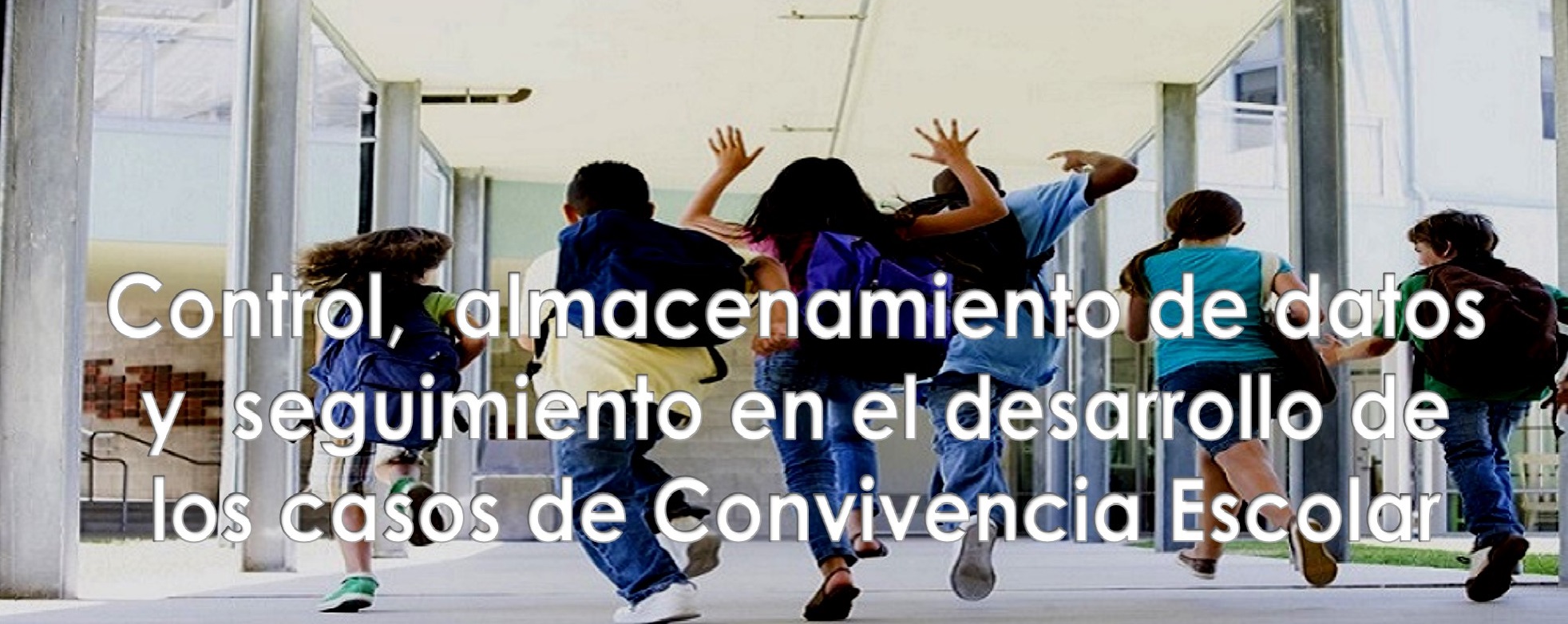 descripción 2